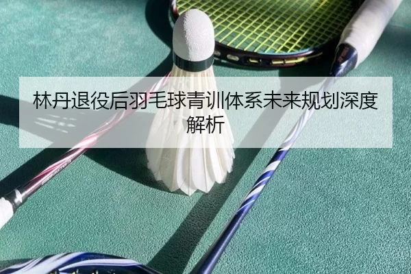 林丹退役后羽毛球青训体系未来规划深度解析